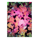Flower Shop (Print Only) thumbnail