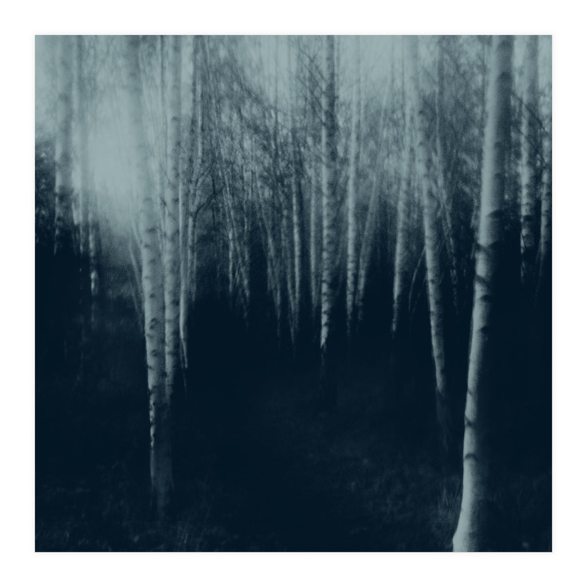 deep veins III (Print Only)