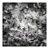The Absent Fox (Print Only) thumbnail
