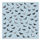 Pigeons Doing Pigeon Things (Print Only) thumbnail