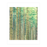 Locked In The Woods (Print Only) thumbnail