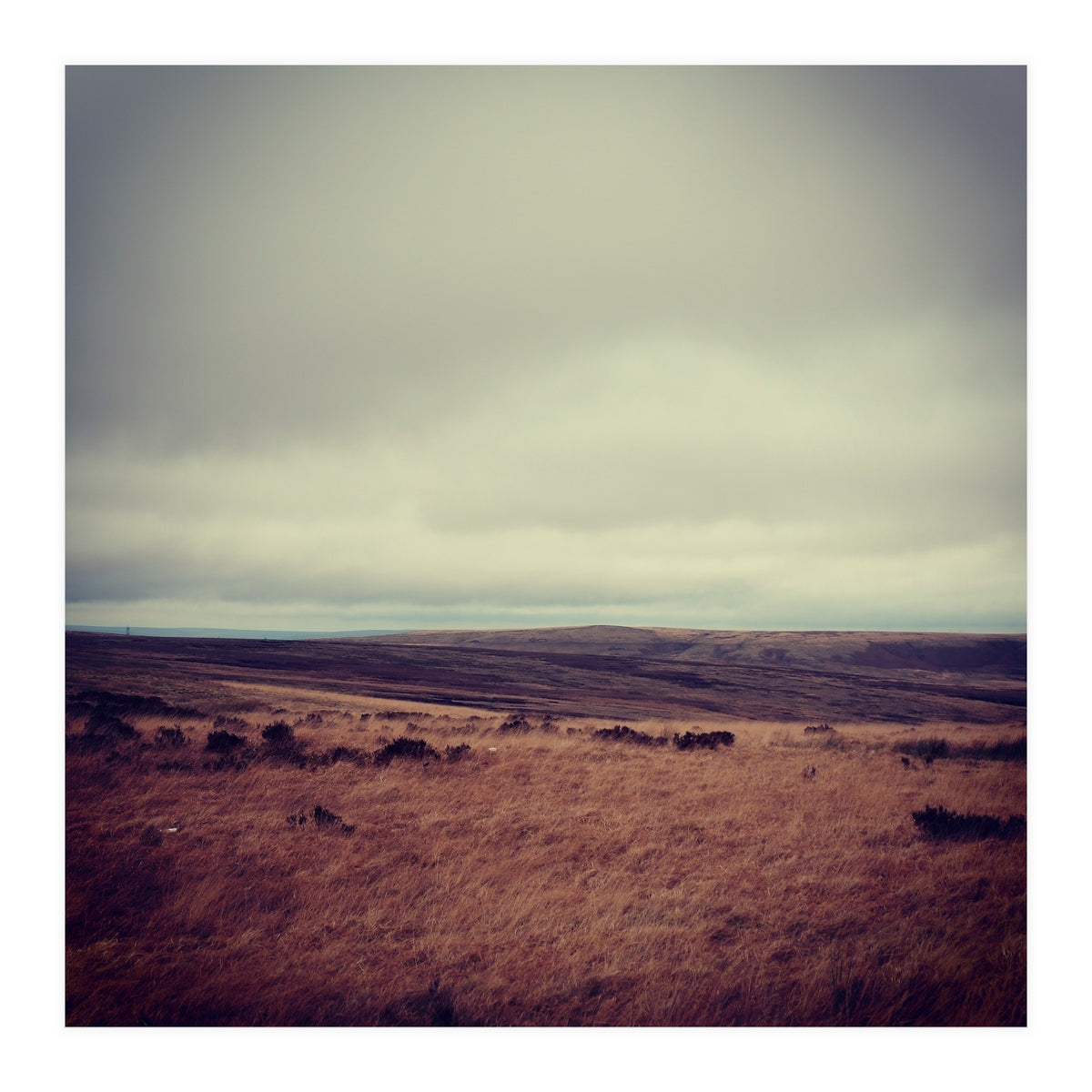 Bleak winter landscape of Saddleworth Moor  (Print Only)