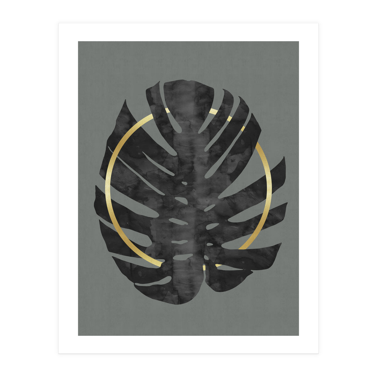 Monstera Deliciosa I (Print Only)