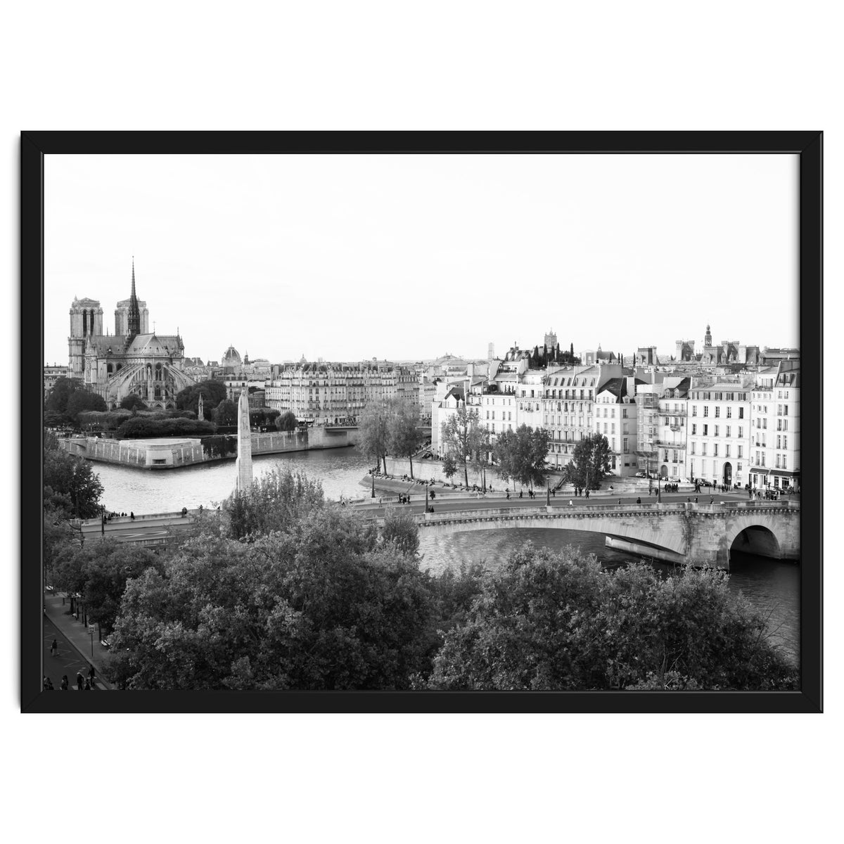 Paris View in Black and White