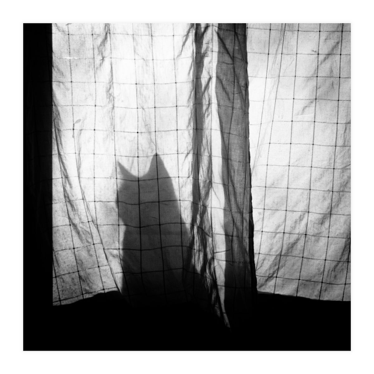 Mr. Wallace (Print Only)