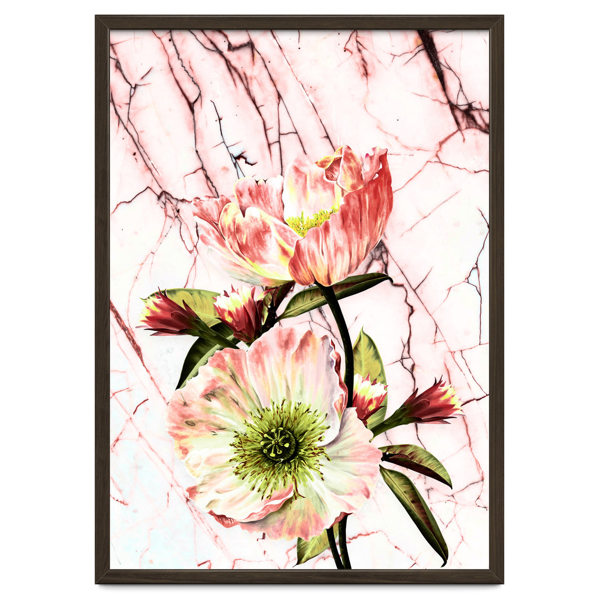 Flowering on pink marble