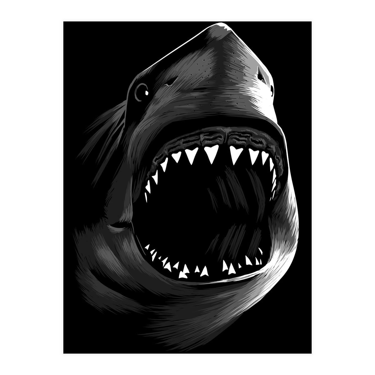 Great Shark White (Print Only)