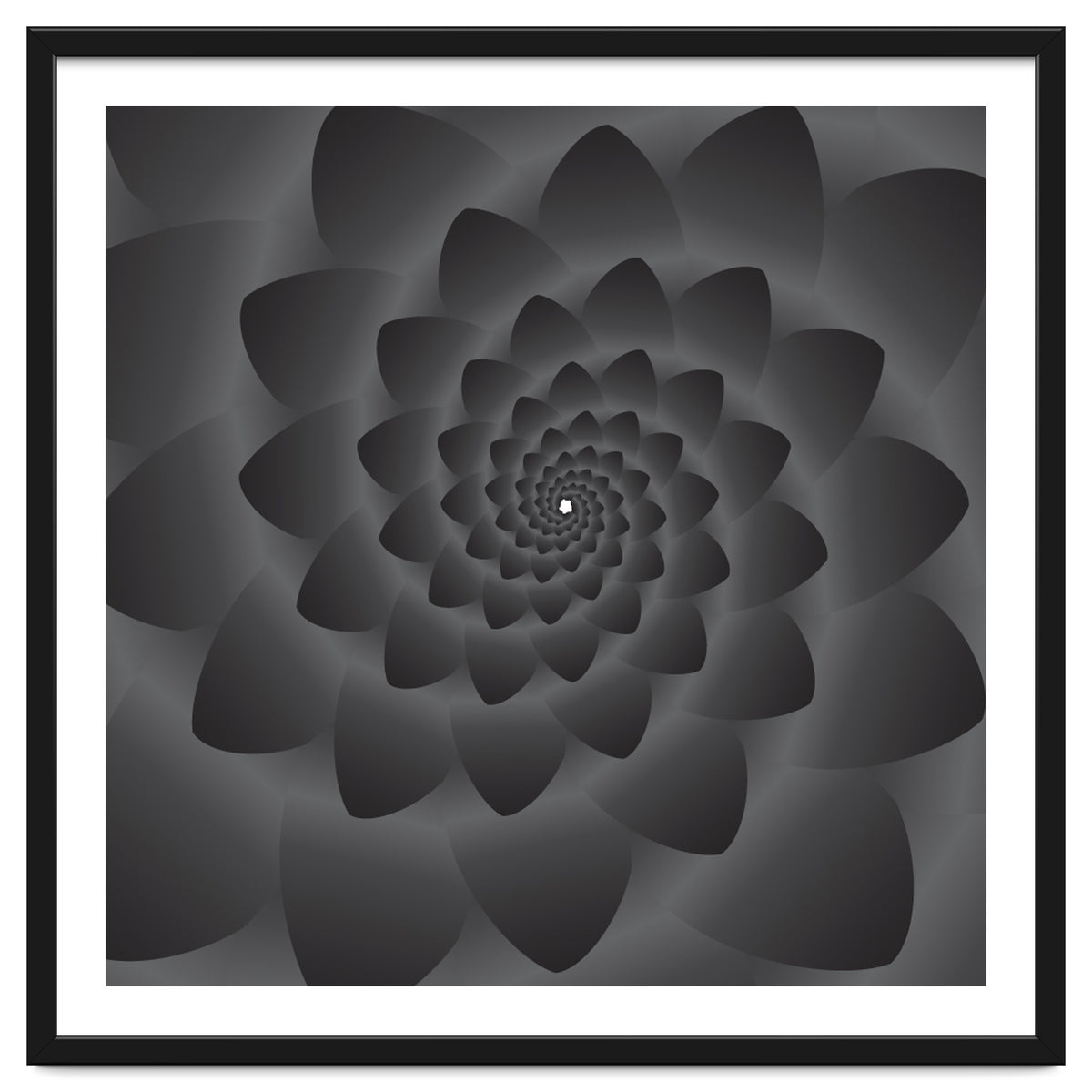 3 D Modern Black Floral