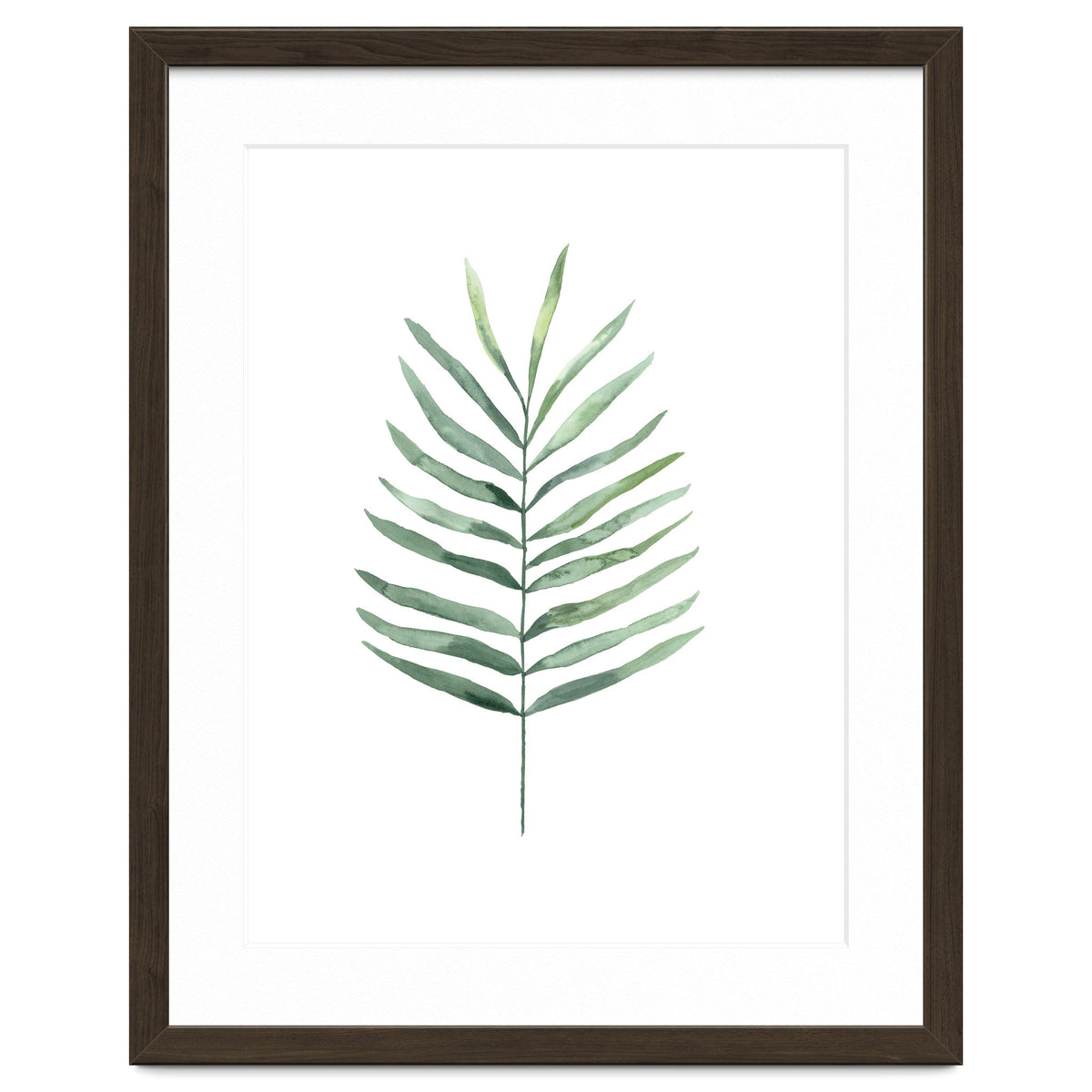 Botanical Illustration Fern