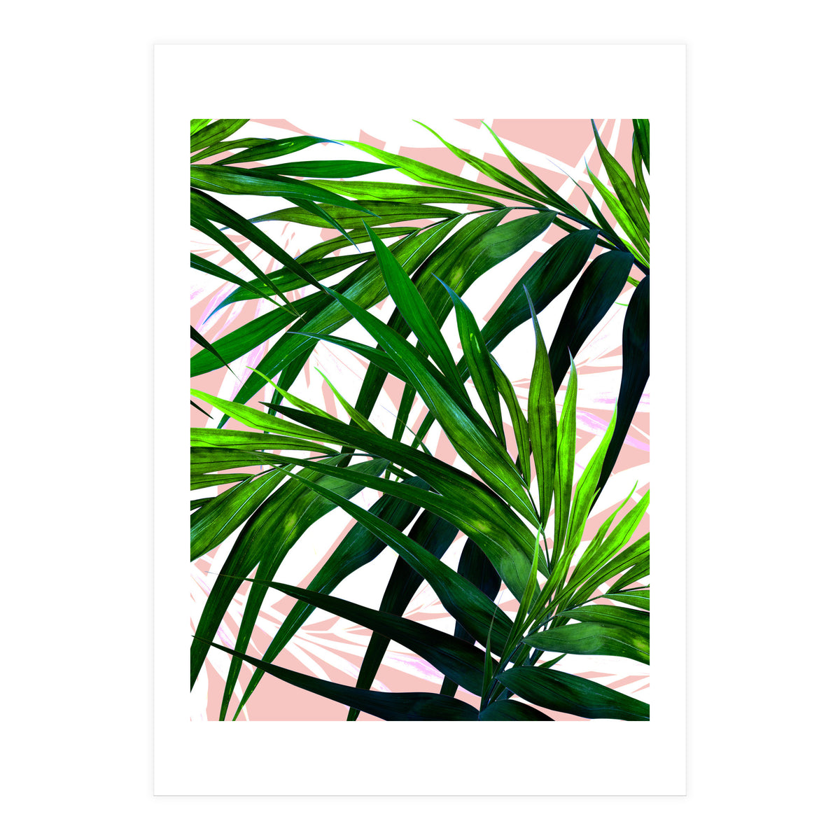 Dream paradise  (Print Only)