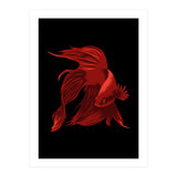 Betta (Print Only) thumbnail