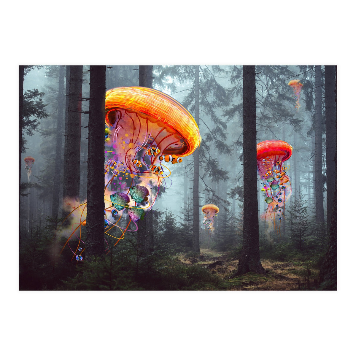 Forest Jellyfish For Print7000 (Print Only)