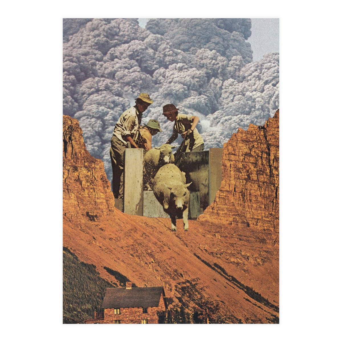 Dirty Sheep (Print Only)