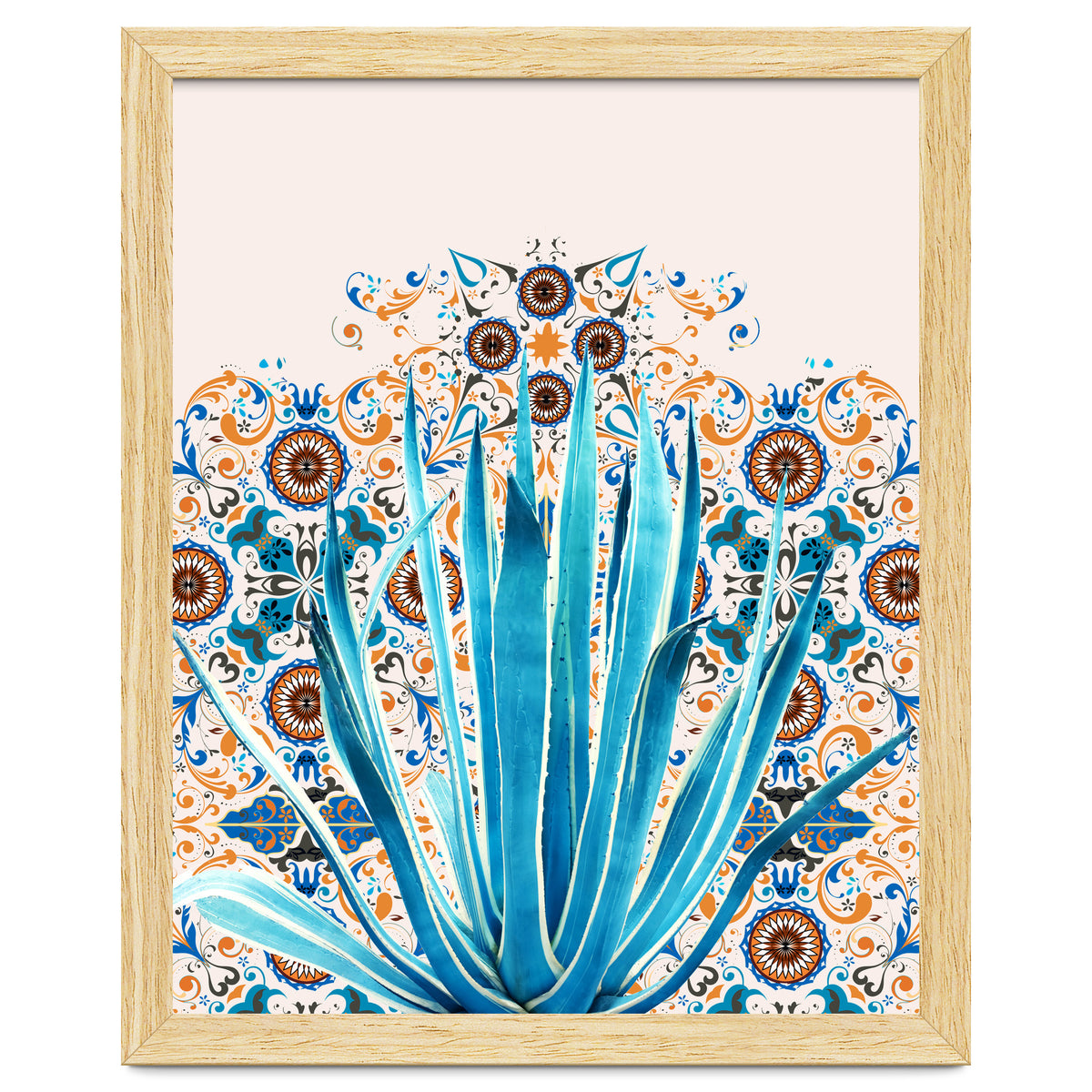 Cactus and Moroccan tiles