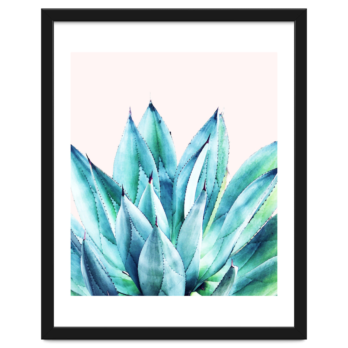 Agave Vibe