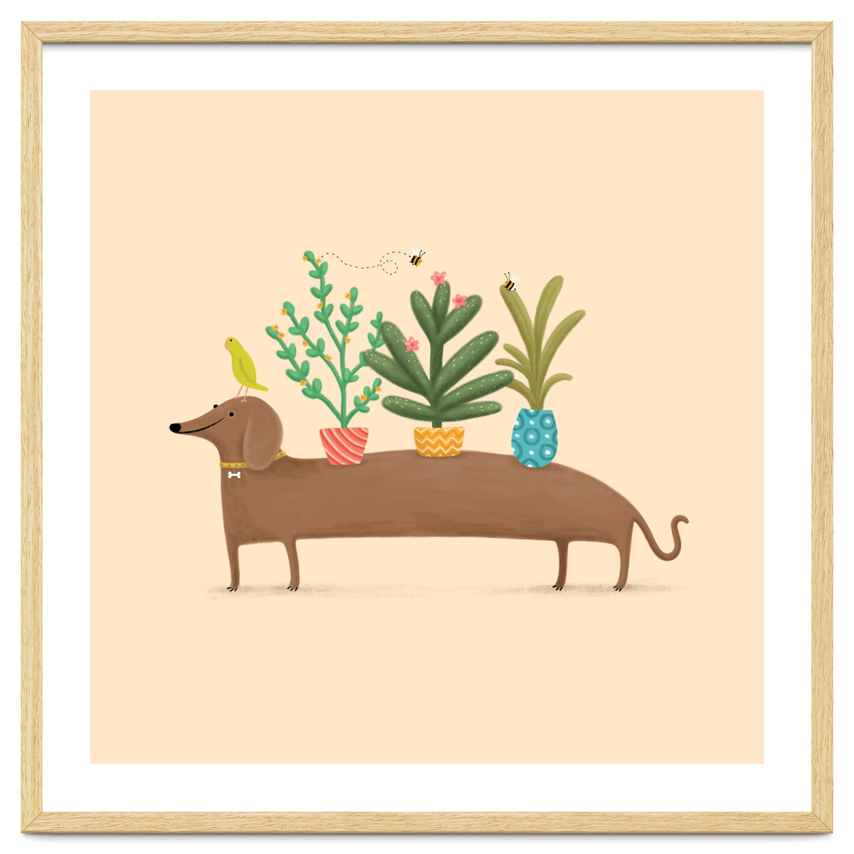 Dachshund And Parrot