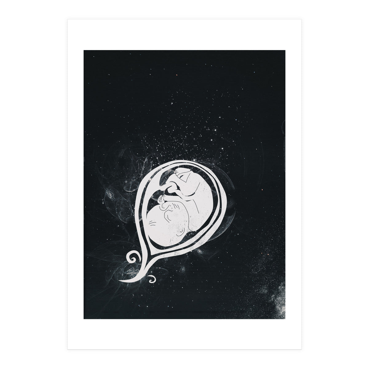 Baby Cosmos (Print Only)