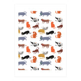 Cat Pattern (Print Only) thumbnail