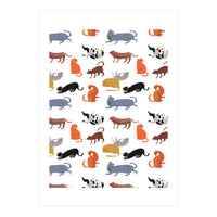 Cat Pattern (Print Only)