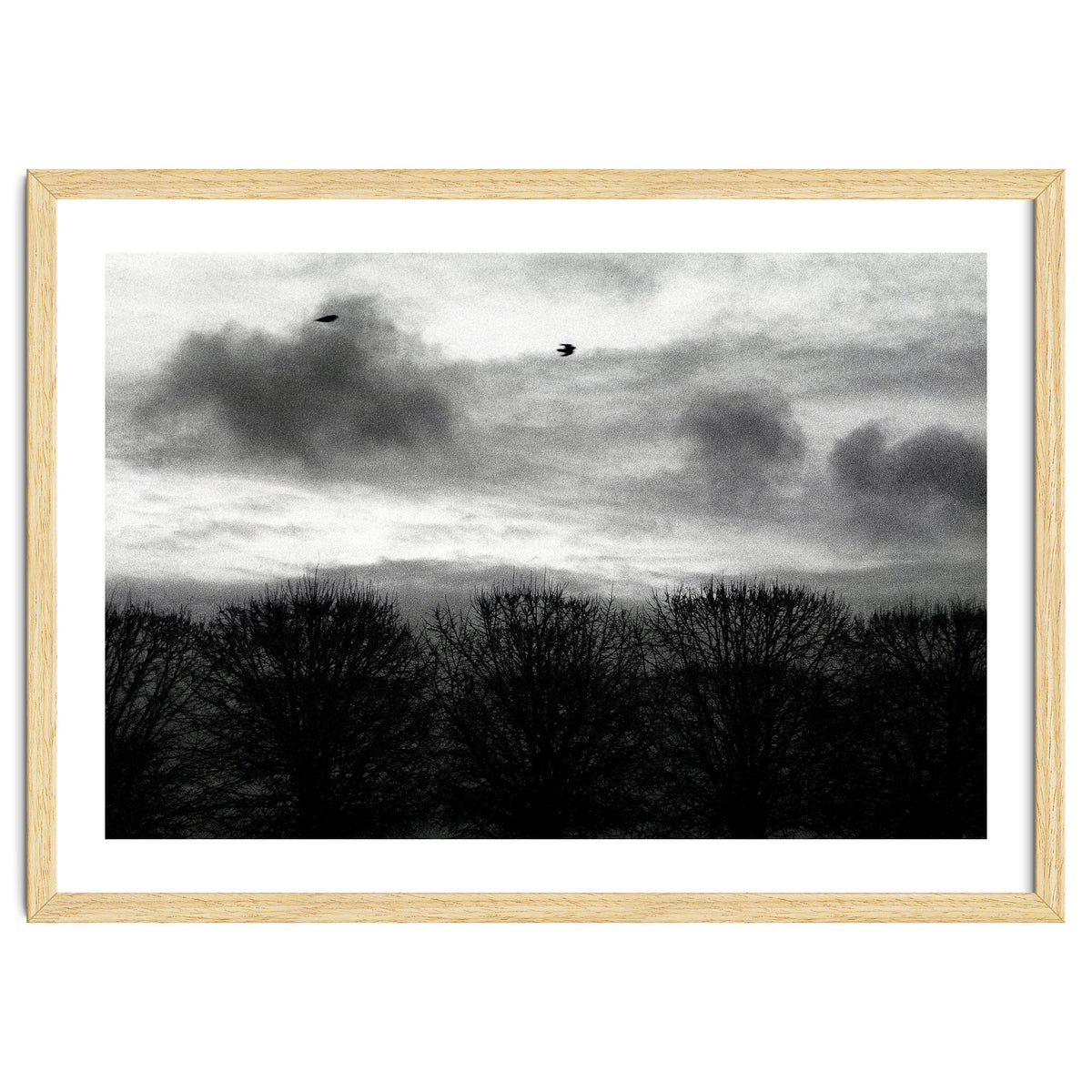 Winter mornig in Paris