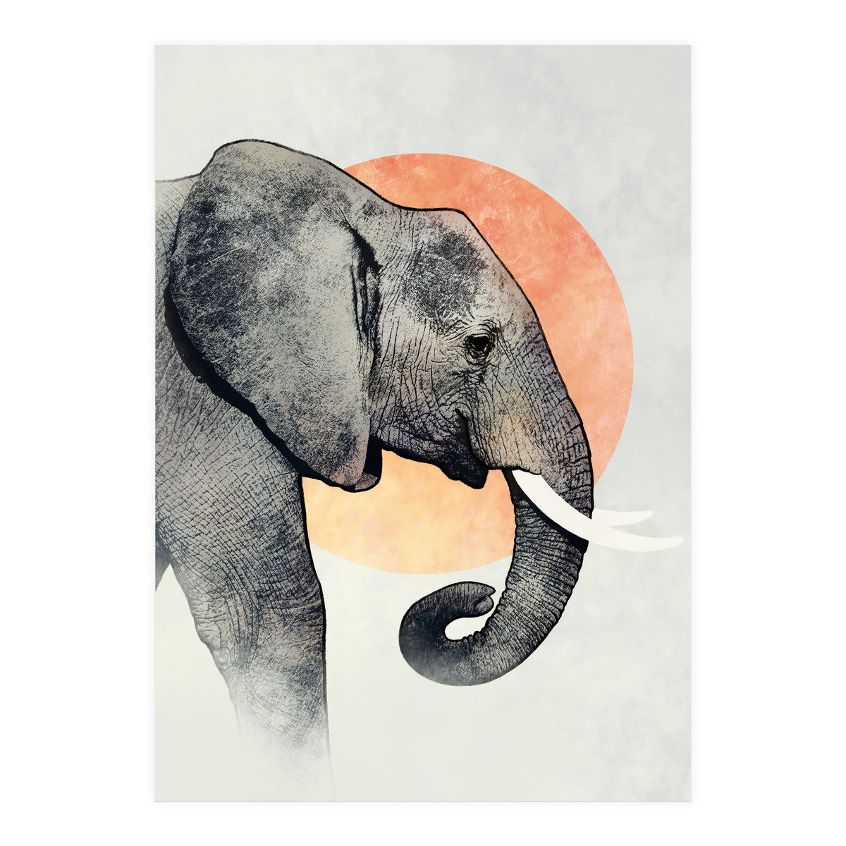 Elephant (Print Only)