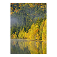 LAKE IN FOREST (Print Only)