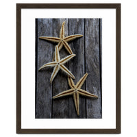 Starfishes in wooden