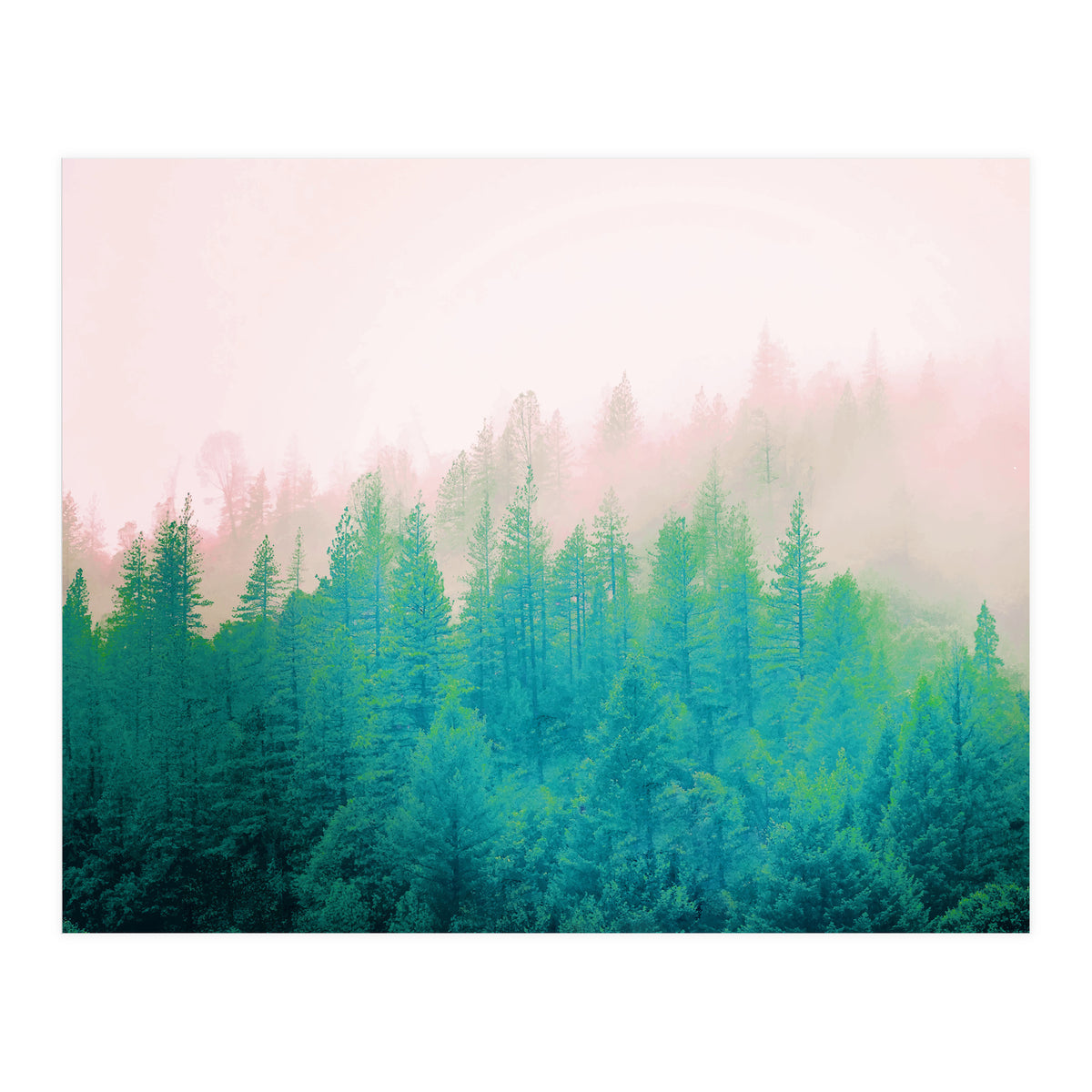 Forest Fog V2 (Print Only)