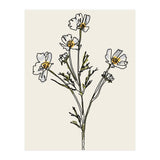Bunch I (Print Only) thumbnail