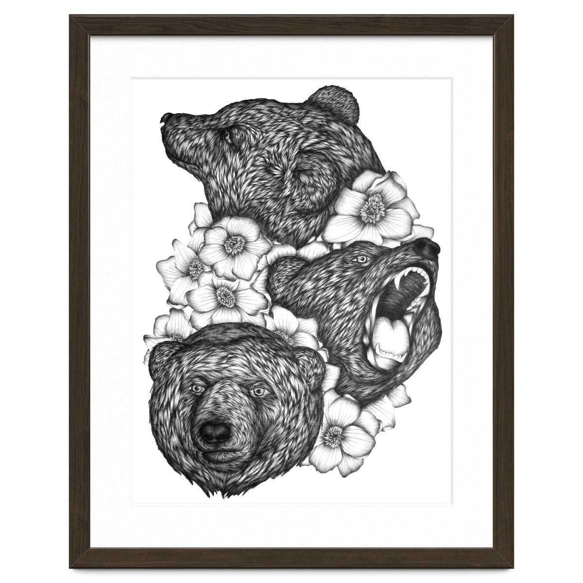 Bears In Bears