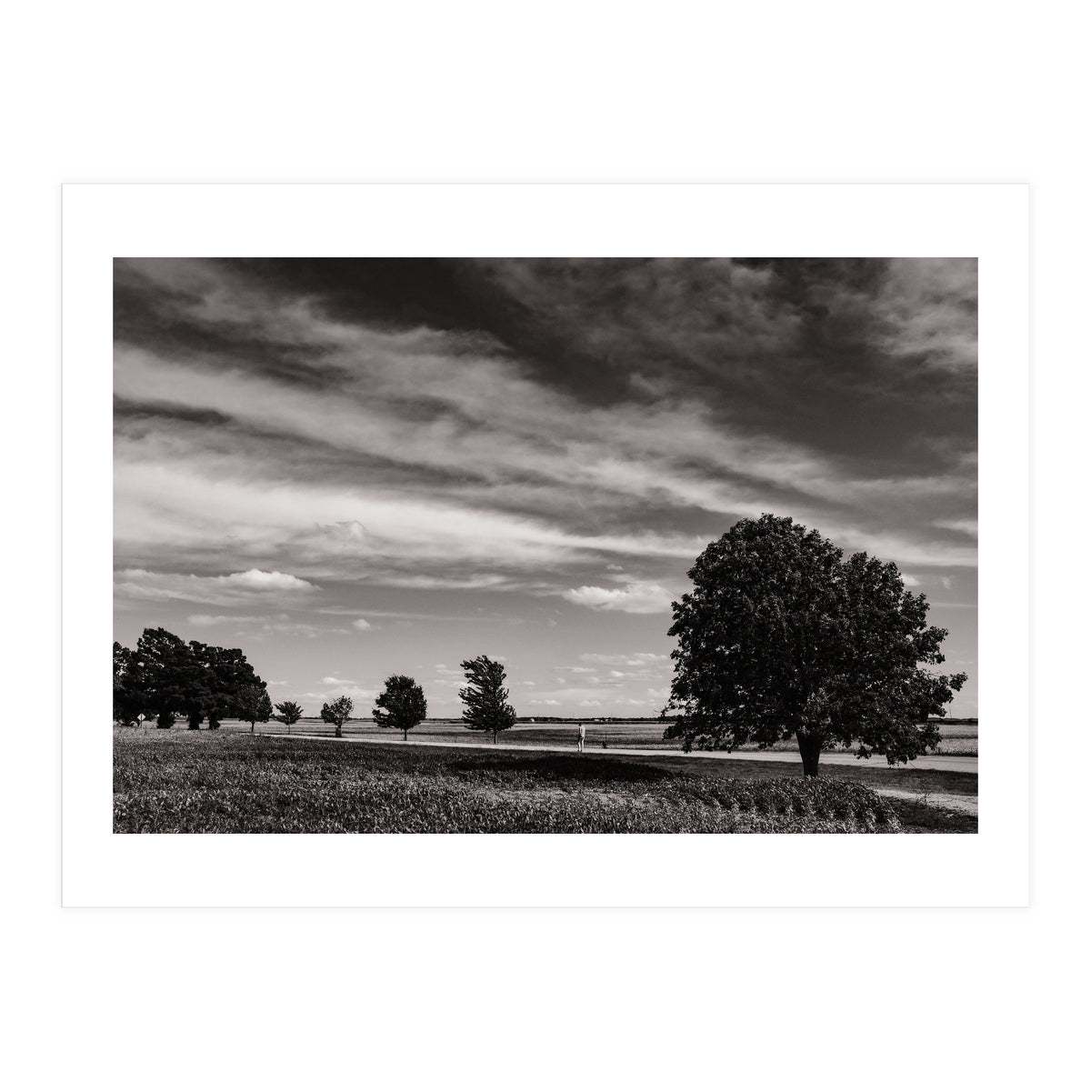 Country Road, Illinois  (Print Only)