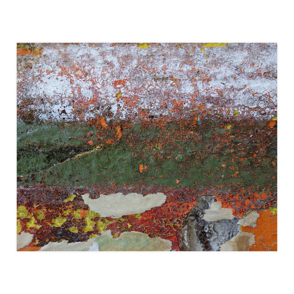 North South (Print Only)