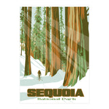 Sequoia National Park Poster (Print Only) thumbnail