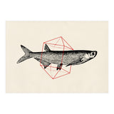 Fish In Geometrics II (Print Only) thumbnail