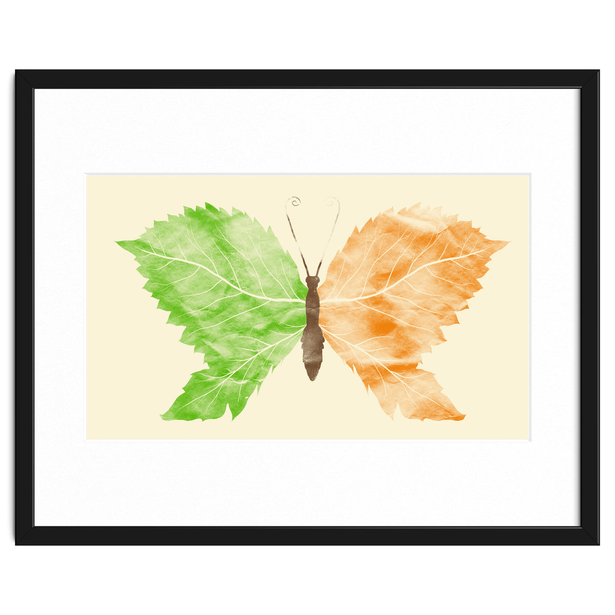 Seasons Change Time Flies