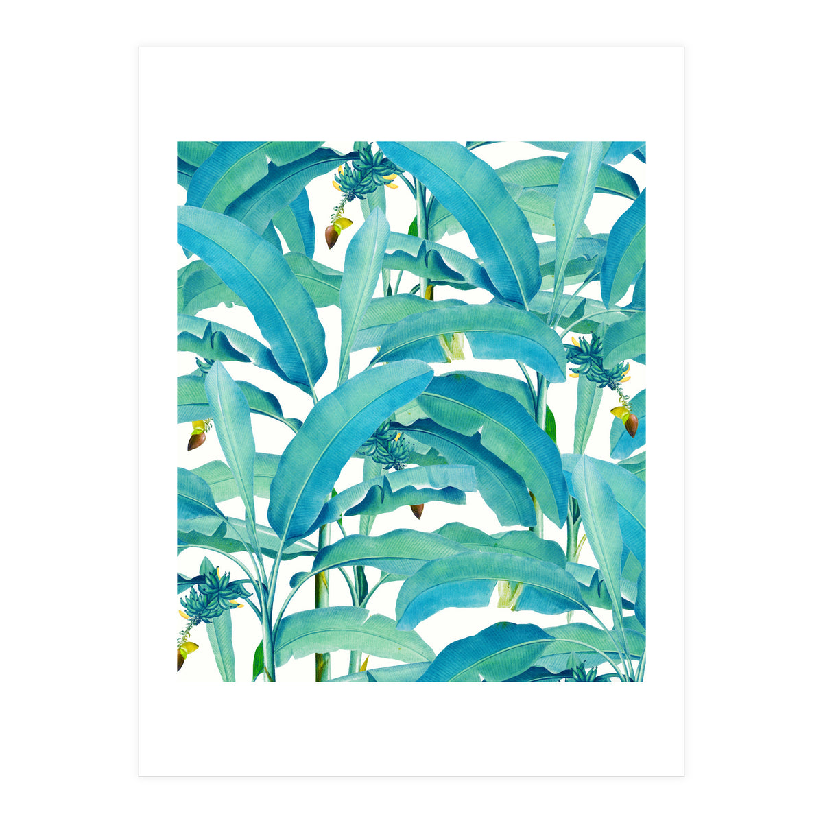 Banana Forest (Print Only)
