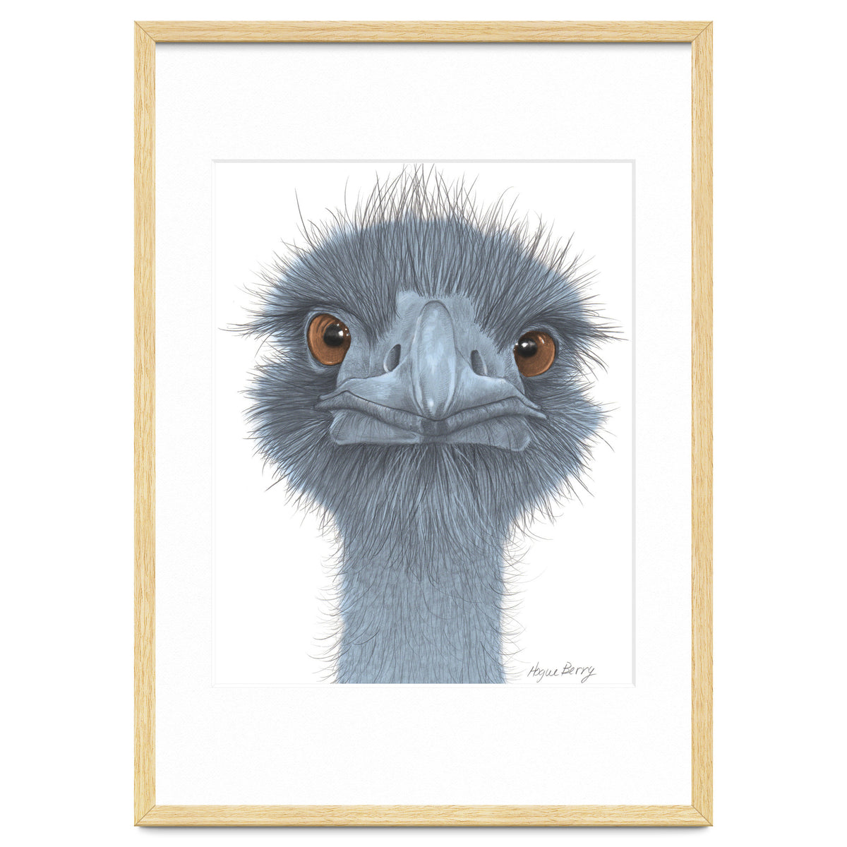 The Blue Emu