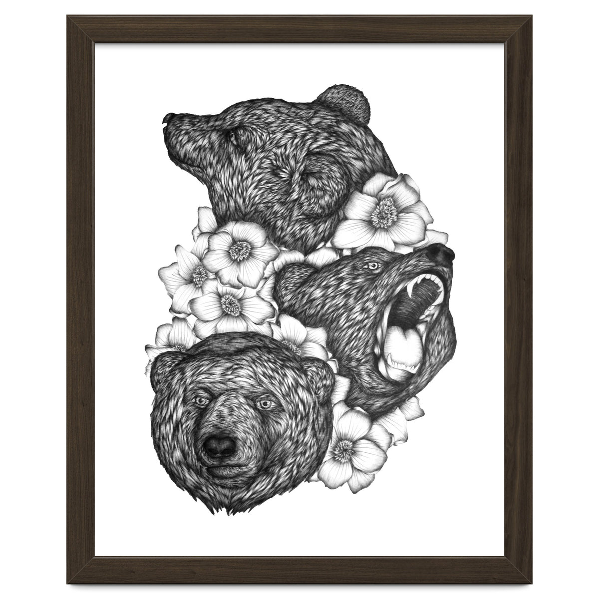 Bears In Bears