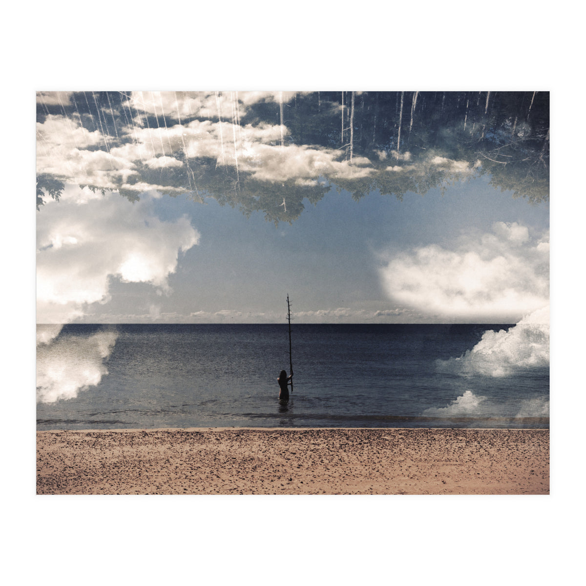 Sea Forest (Print Only)