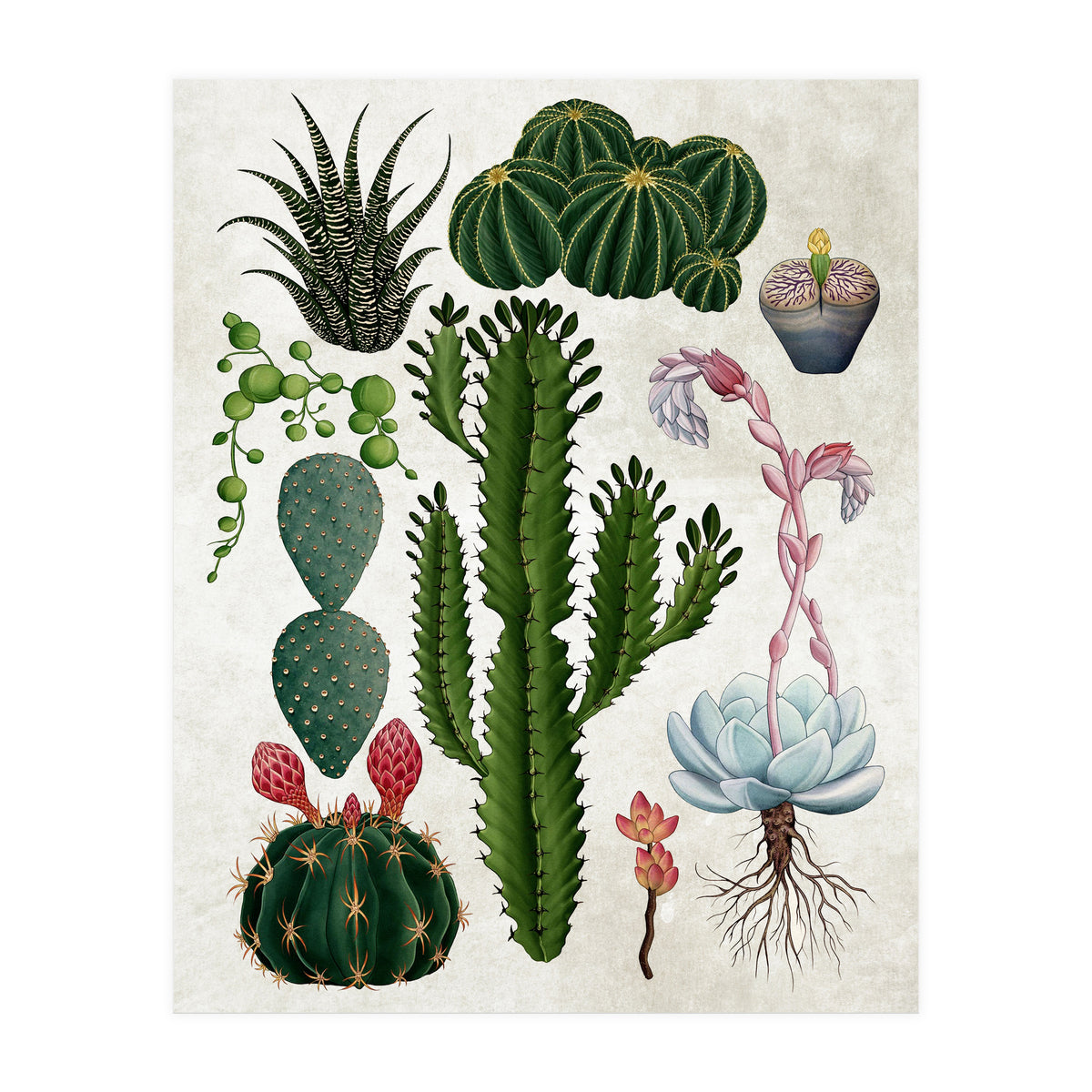 botanical (Print Only)