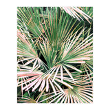 Palms II (Print Only) thumbnail