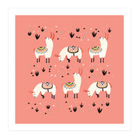 White Llamas In Pink Desert (Print Only)