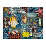 Sea Life Collage (Print Only) thumbnail