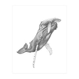 Humpacks no. 3 (Print Only) thumbnail