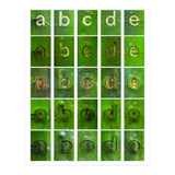 abcde (Print Only) thumbnail