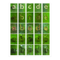abcde (Print Only)