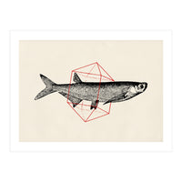 Fish In Geometrics II (Print Only)