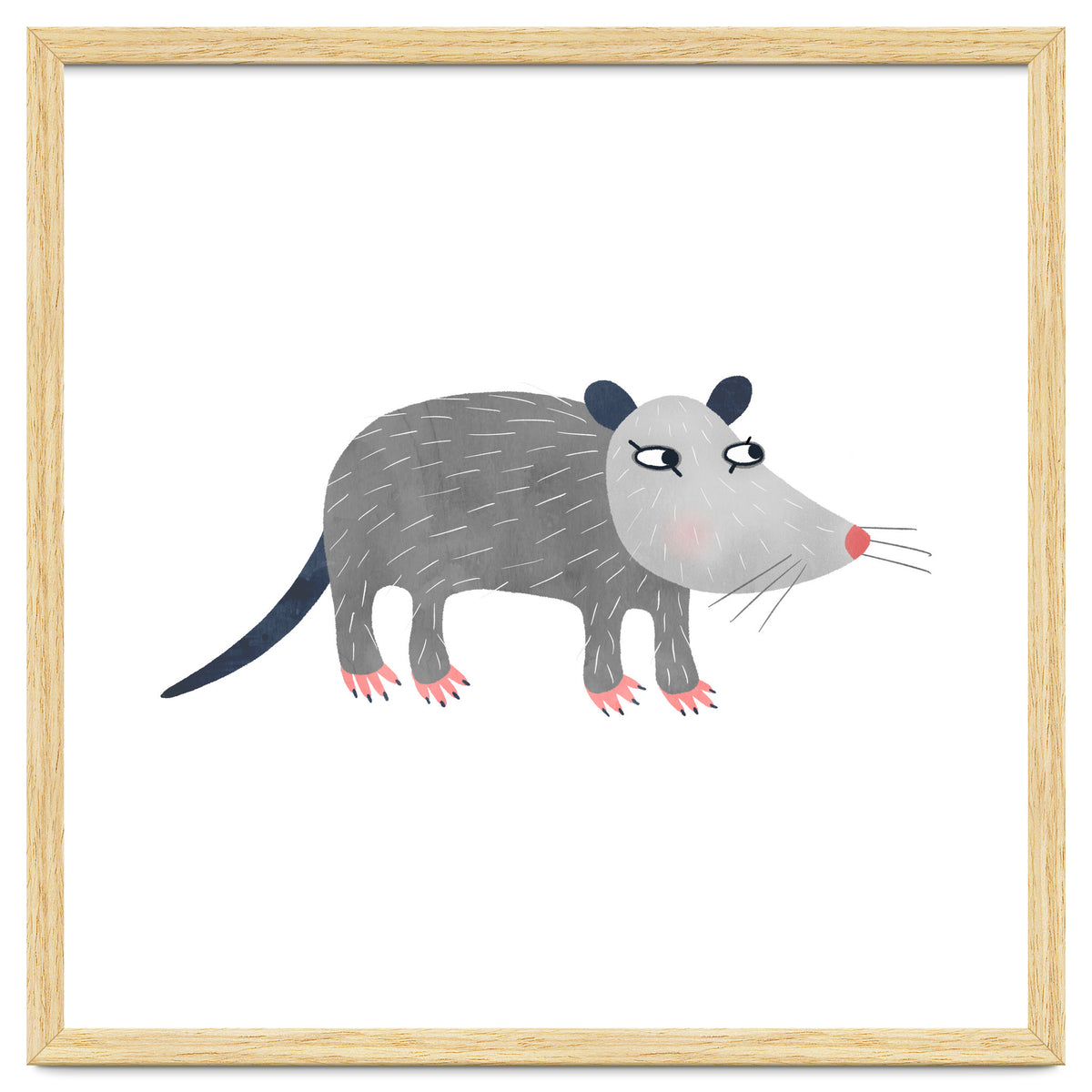 Possum