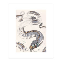 Dream Snake (Print Only)