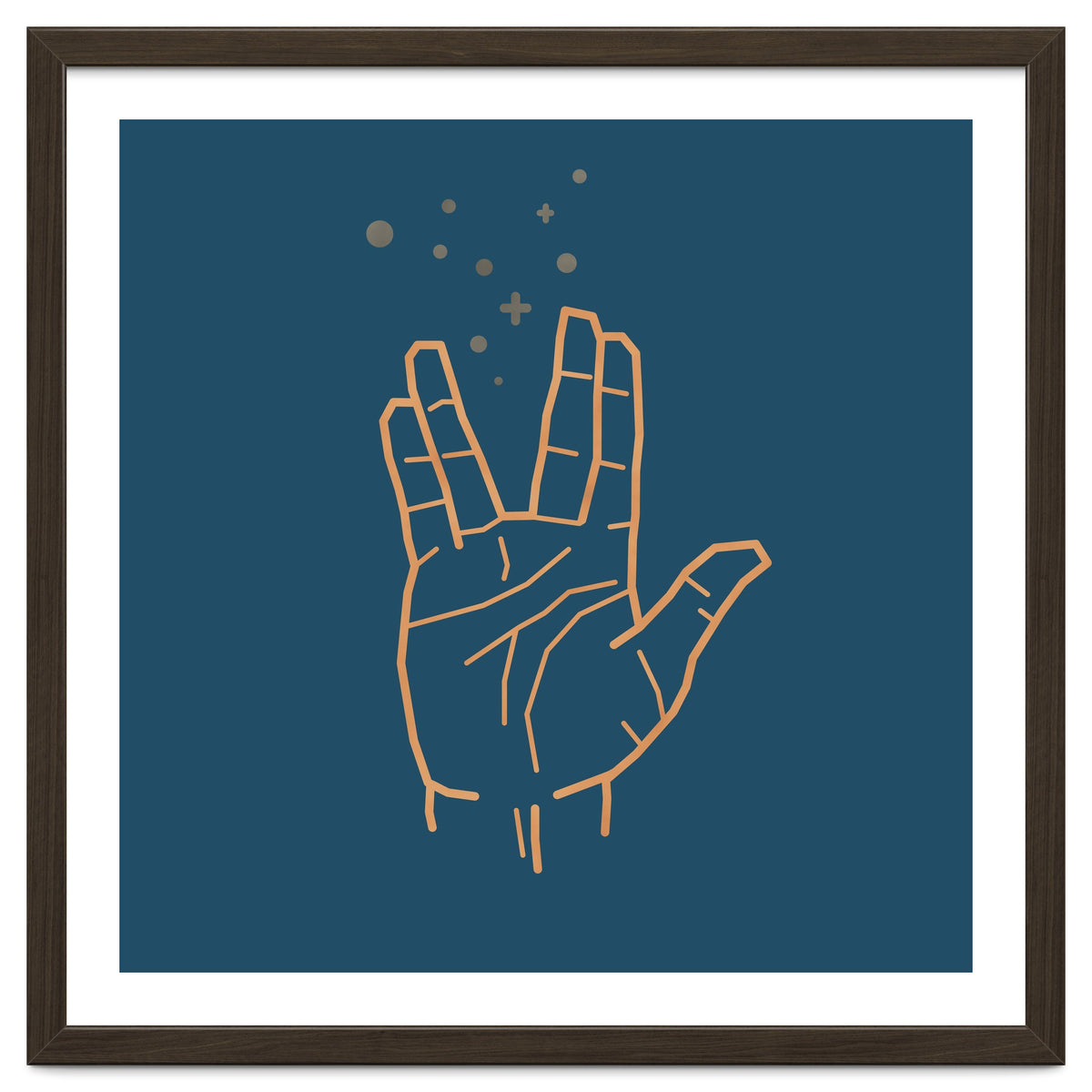 Vulcan Salute